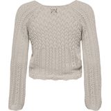 Pullover - Gebreid - O-hals - Lange Mouwen - Regular Fit