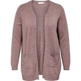 Caresly - Vest - Lange Mouwen - Regular Fit - Split Hals