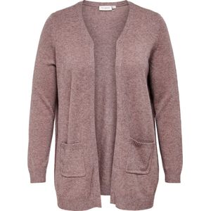 Caresly - Vest - Lange Mouwen - Regular Fit - Split Hals