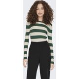 Jdy - Jdyplum o-Neck Pullover Knt Noos - Dames - Gebreide Truien