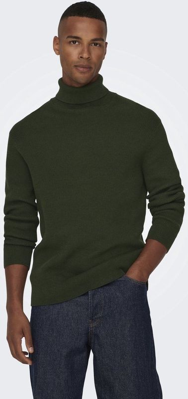 Only & Sons Onsphil Reg 12 Struc Roll Neck Knit Noos Heren Trui