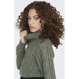 Jacqueline de Yong Trui Jdyandrea Zip Cable Pullove Knt 15242811 Kalamata Dames