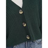 Only Onlcarol Nice Cardigan Knt Noos Dames Vest