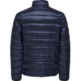 Gewatteerd Jack - Zwart - 100% Gerecycled Polyester - Volledig Gevoerd