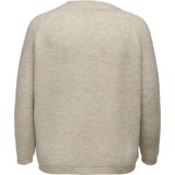Carjade - Gebreide Pullover - Ronde Hals - Lange Mouwen - Regular Fit