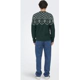 Trui - Katoen - Winterse Print - Lange Mouw - Normale Pasvorm