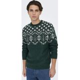 Trui - Katoen - Winterse Print - Lange Mouw - Normale Pasvorm