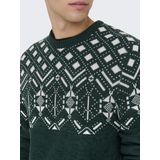 Trui - Katoen - Winterse Print - Lange Mouw - Normale Pasvorm