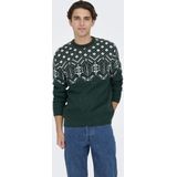 Trui - Katoen - Winterse Print - Lange Mouw - Normale Pasvorm