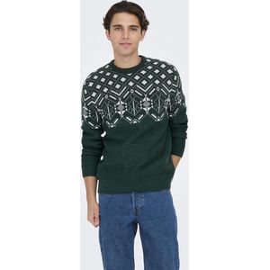 Trui - Katoen - Winterse Print - Lange Mouw - Normale Pasvorm