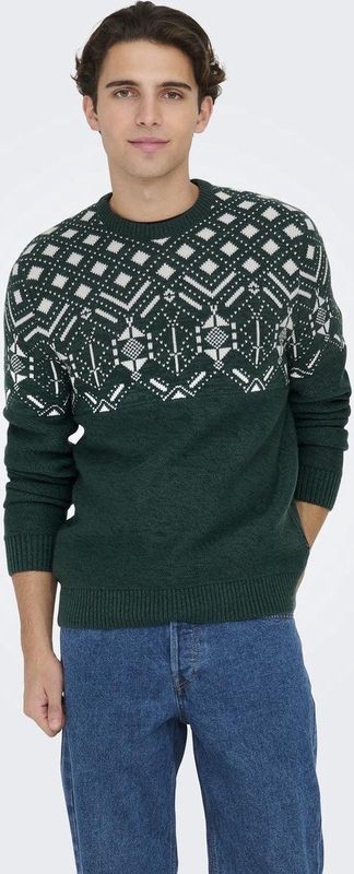 Trui - Katoen - Winterse Print - Lange Mouw - Normale Pasvorm