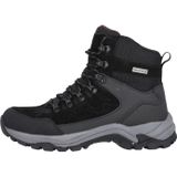 WHISTLER - Detion - Wandelschoenen - Waterdicht Leer