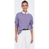 Only Onlcamilla o Neck Pullover Noos Knt Dames Gebreide Truien