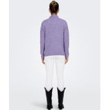 Only Onlcamilla o Neck Pullover Noos Knt Dames Gebreide Truien