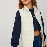 Puffervest - Doffe Oppervlaktestof - Volledig Gevoerd - Waterbestendig - Mouwloos