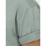 ONLY & SONS T-Shirt FRED