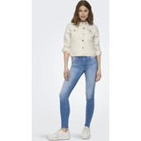 Dickies - Mapleton - Korte Broek - Zwart