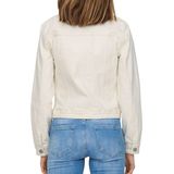 Dickies - Mapleton - Korte Broek - Zwart