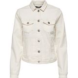 Dickies - Mapleton - Korte Broek - Zwart