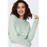 Only Trui Onlrica Life Pullover Knt Noos 15204279 Mist Green Dames