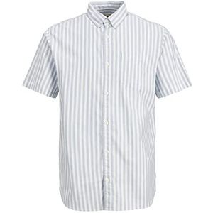 JACK & JONES Heren Jcomarina Stripe Shirt Ss hemd, Mountain Spring/Stripes: Stripes, L, Mountain Spring/Stripes: strepen, L