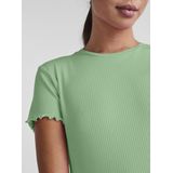 Pieces Pcnicca Ss o-Neck Top Noos Dames t-Shirt
