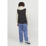 Jack & Jones - Alex Loose Fit - Jeans - Blauw - Katoen