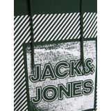 Sweatshirt 'JJStein'