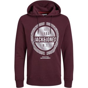 Sweatshirt 'JJStein'