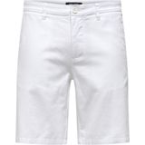 Chino Shorts - Kort - Katoen - Regular Fit