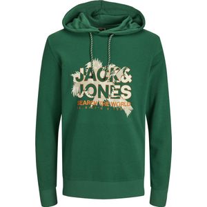 Jack&jones Jcomarina Sweat Hood Heren Trui