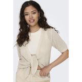 JDY - Vesten - Gebreid - V-Hals - Lange Mouwen - Strikceintuur - Kort