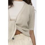 JDY - Vesten - Gebreid - V-Hals - Lange Mouwen - Strikceintuur - Kort