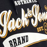 Jack&jones Jjelogo Sweat Hood 2 Co/24 Noos Heren Trui