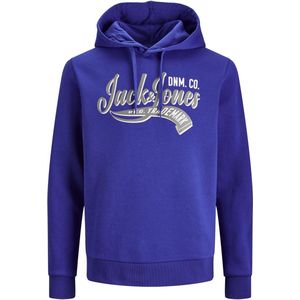 Jack&jones Jjelogo Sweat Hood 2 Co/24 Noos Heren Trui