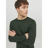 JACK & JONES - Emil - Pullover - Groen - Viscosemengsel met O-hals