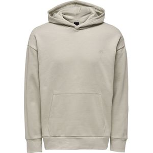 Only & Sons Trui Onsdan Life Rlx Heavy Sweat Hoodie 22026661 Silver Lining Mannen