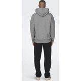 Only & Sons Trui Onsdan Life Rlx Heavy Sweat Hoodie 22026661 Silver Lining Mannen