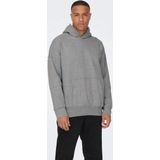 Only & Sons Trui Onsdan Life Rlx Heavy Sweat Hoodie 22026661 Silver Lining Mannen
