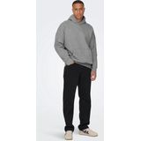 Only & Sons Trui Onsdan Life Rlx Heavy Sweat Hoodie 22026661 Silver Lining Mannen