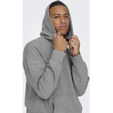 Only & Sons Trui Onsdan Life Rlx Heavy Sweat Hoodie 22026661 Silver Lining Mannen