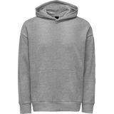 Only & Sons Trui Onsdan Life Rlx Heavy Sweat Hoodie 22026661 Silver Lining Mannen