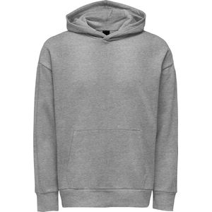 Only & Sons Trui Onsdan Life Rlx Heavy Sweat Hoodie 22026661 Silver Lining Mannen