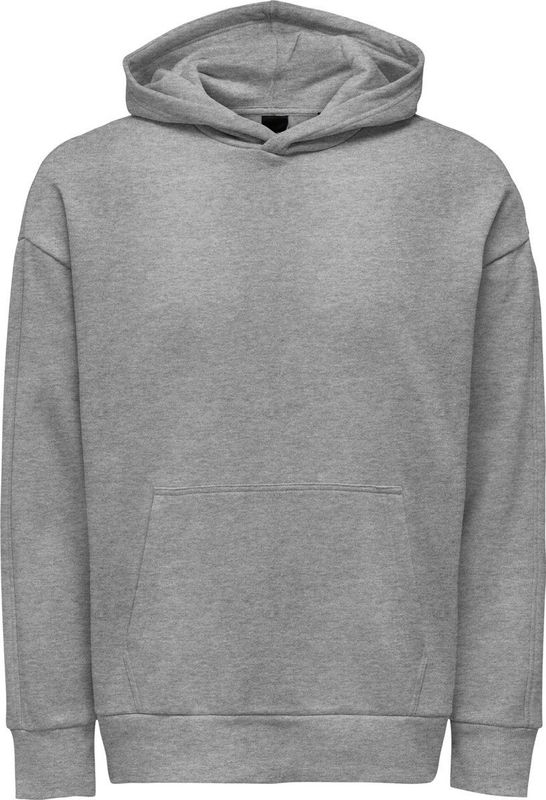 Only & Sons Trui Onsdan Life Rlx Heavy Sweat Hoodie 22026661 Silver Lining Mannen
