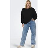 Carnew - Gebreide Pullover - Lange Mouwen - Boothals - Knit Fit