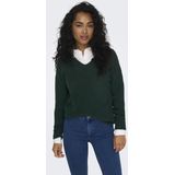 Hoodie - Scarab - Zonder Capuchon - Lange Mouwen - V-hals - Gebreide Boord