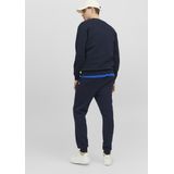 Jack & Jones Gordon Bradley Joggingbroek Heren