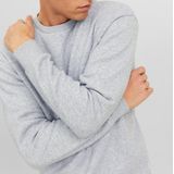 Jack & Jones Sweatshirt »JJEBRADLEY SWEAT CREW NOOS«, mit Rippbündchen