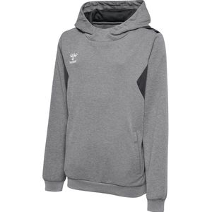 Hummel - Authentic Pl Hoodie - Polyester - Kids