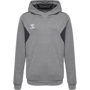 Hummel - Authentic Pl Hoodie - Sweater - Zwart - Polyester